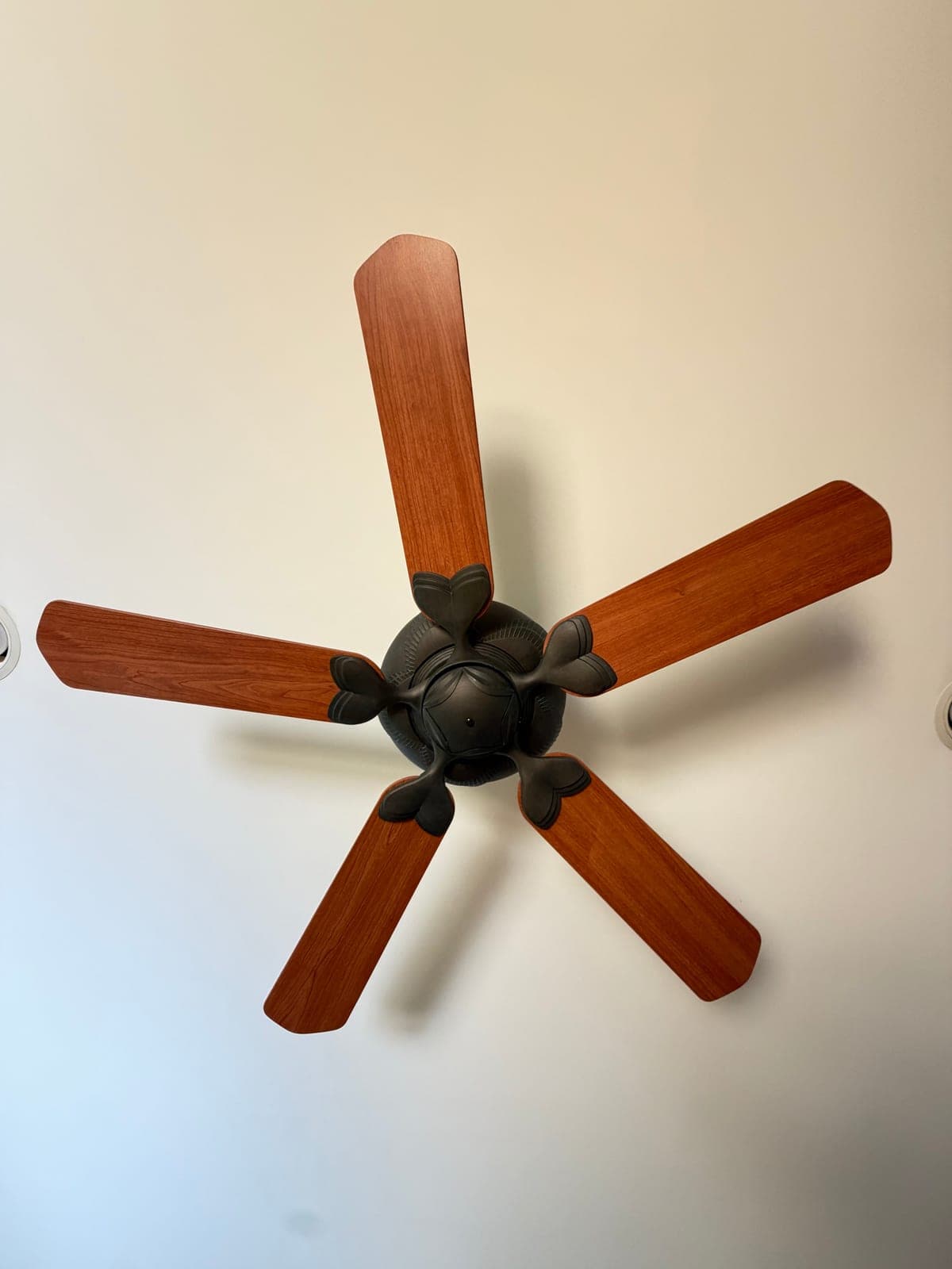 Oil-Rubbed Bronze Ceiling Fan, 5 Cherry Wood Blades