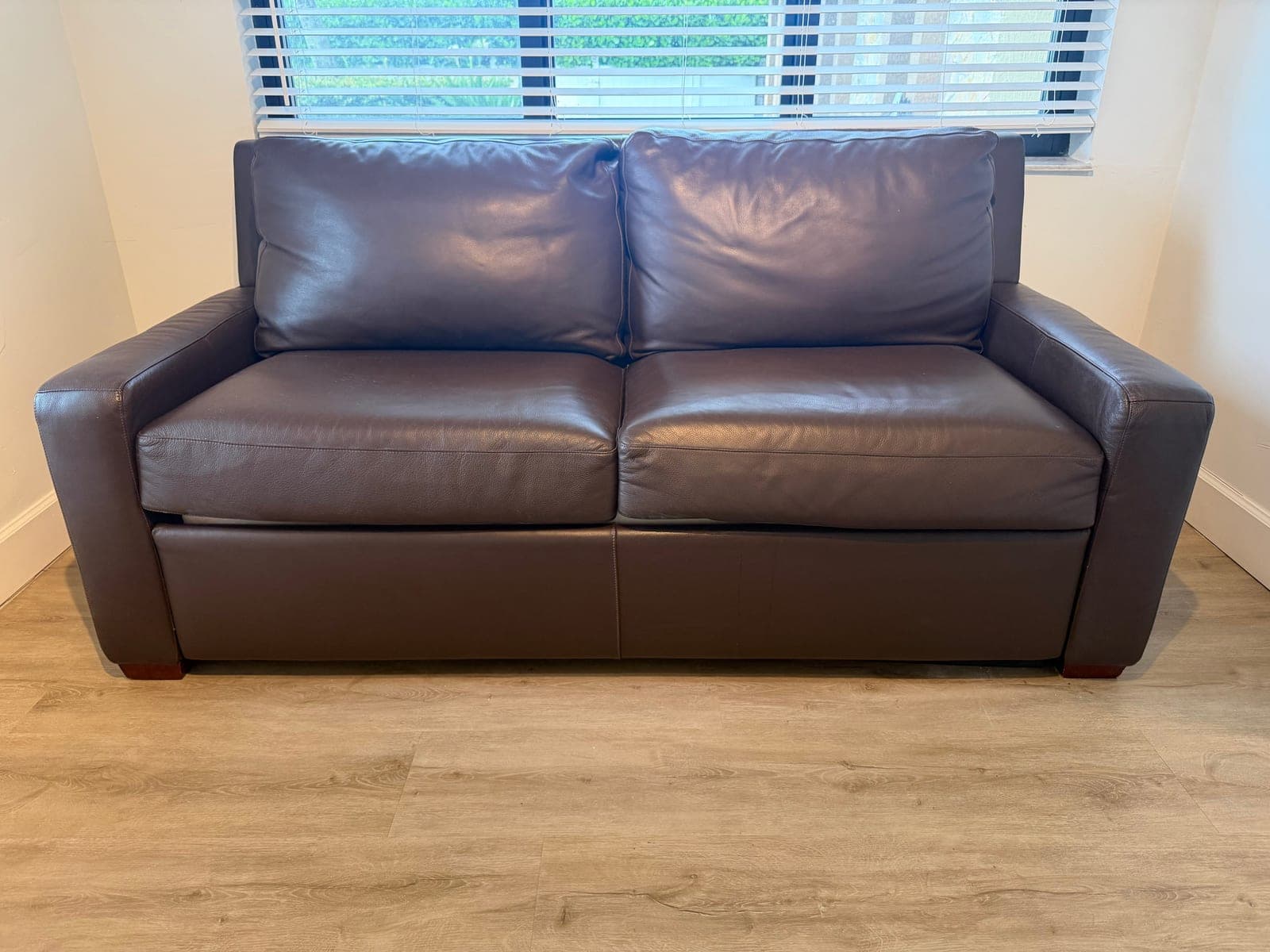 Modern Leather Sleeper Sofa / Pull-Out Bed